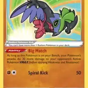 Radiant Hawlucha